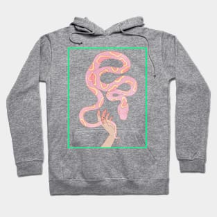 Pink dangernoodle Hoodie